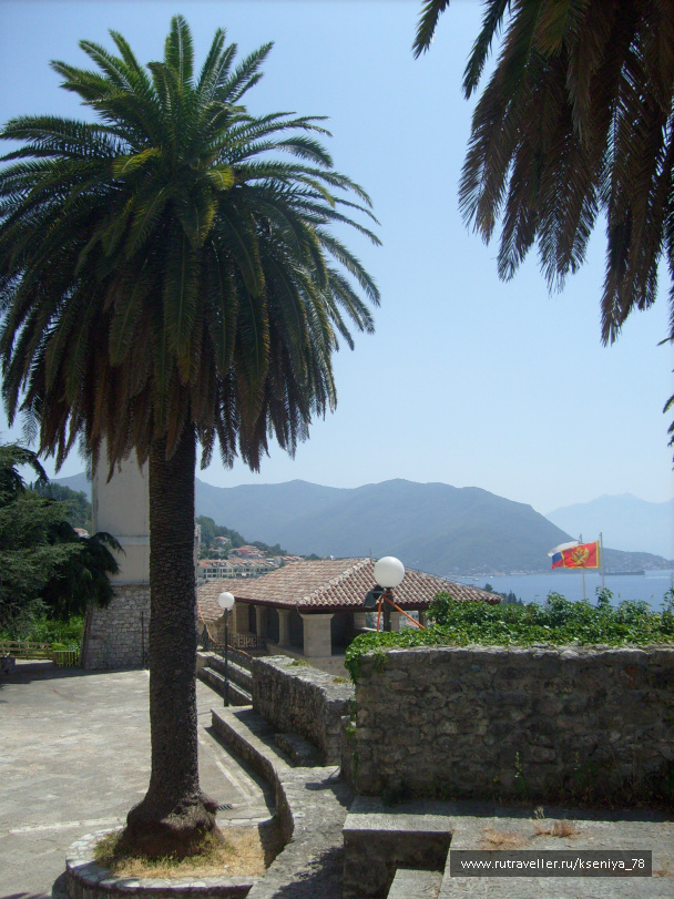 photo 194907