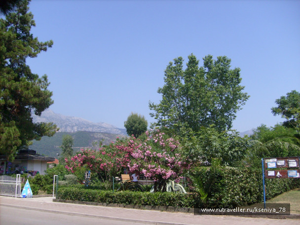 photo 194929