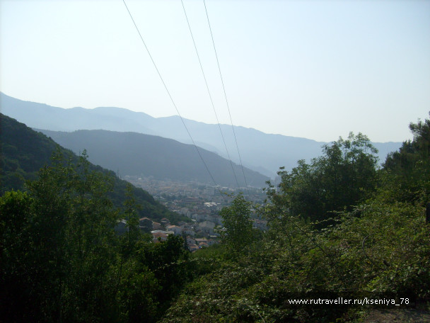 photo 194939