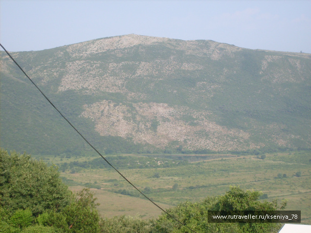 photo 194941