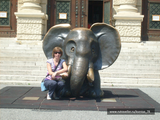 photo 140345