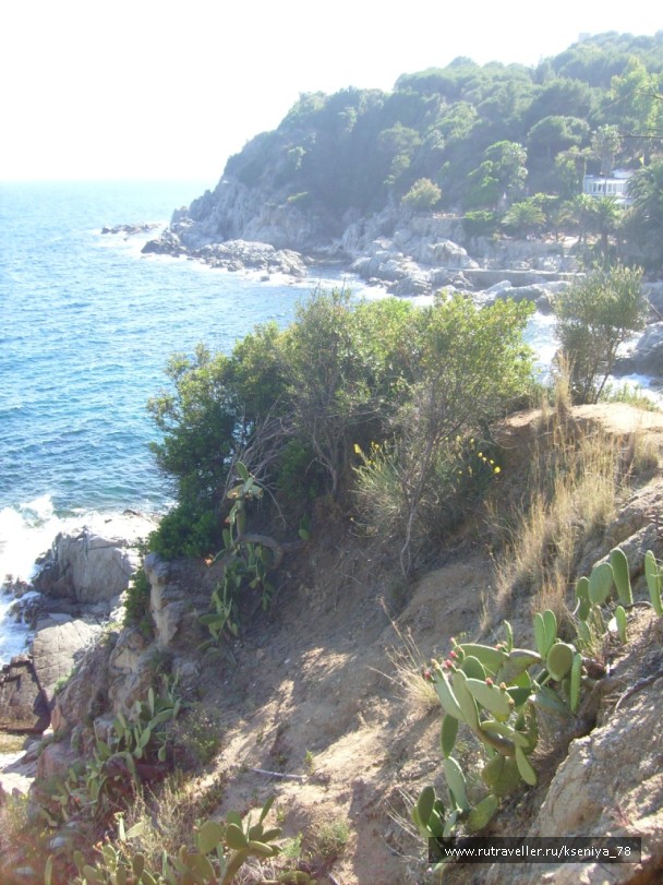 photo 146344