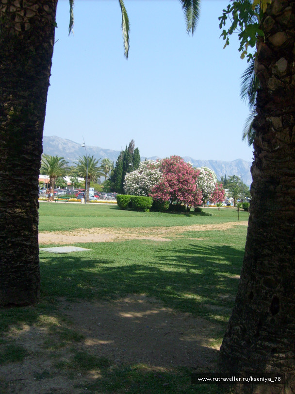 photo 159056