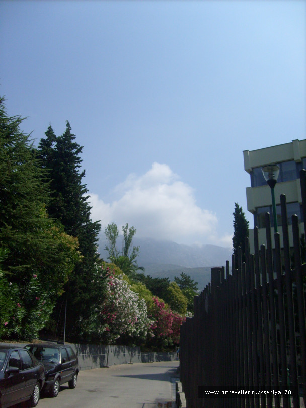 photo 159124