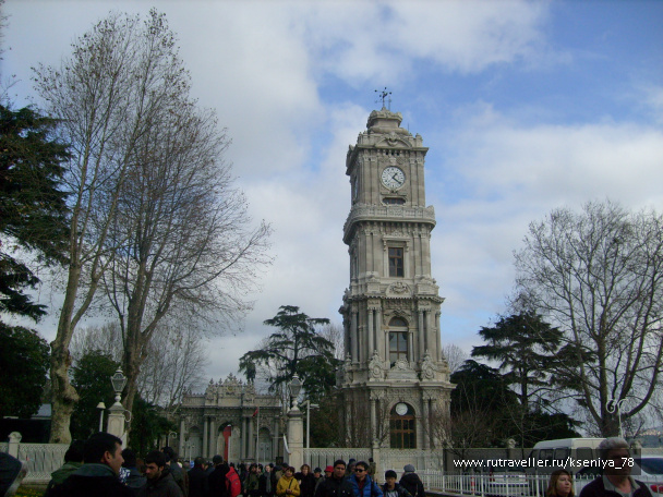 photo 222250