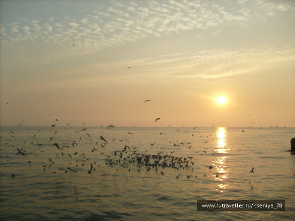 photo 222776
