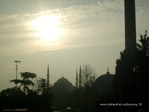 photo 222780