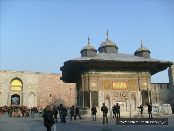 photo 222781