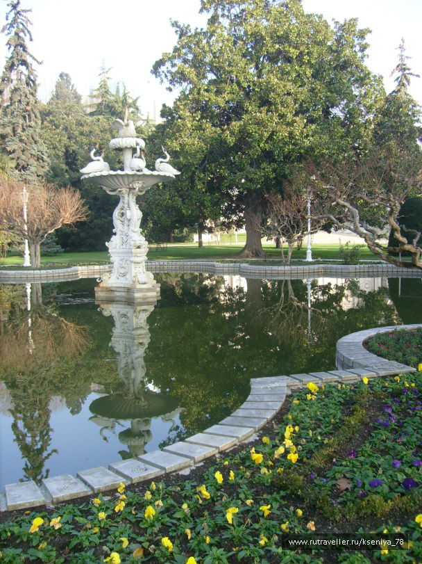 photo 222793