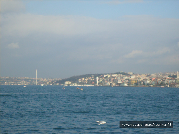 photo 223997