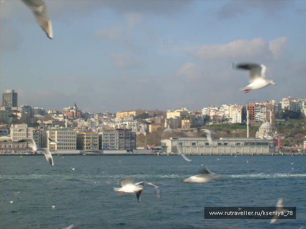 photo 223998