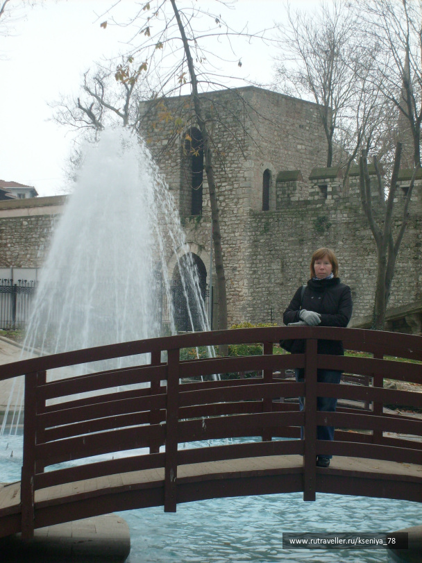 photo 224772