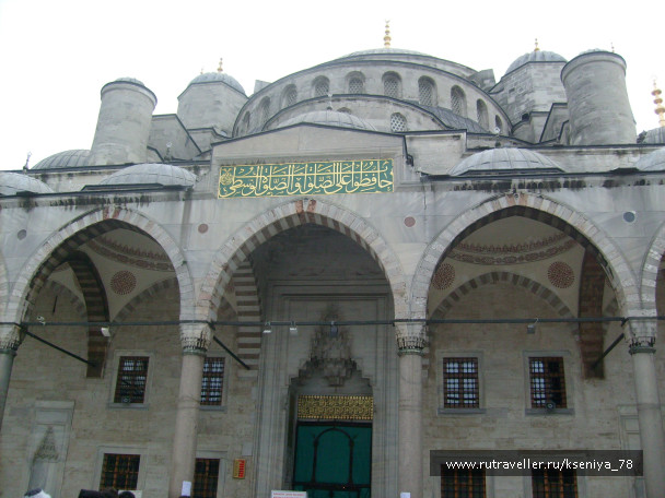 photo 224773