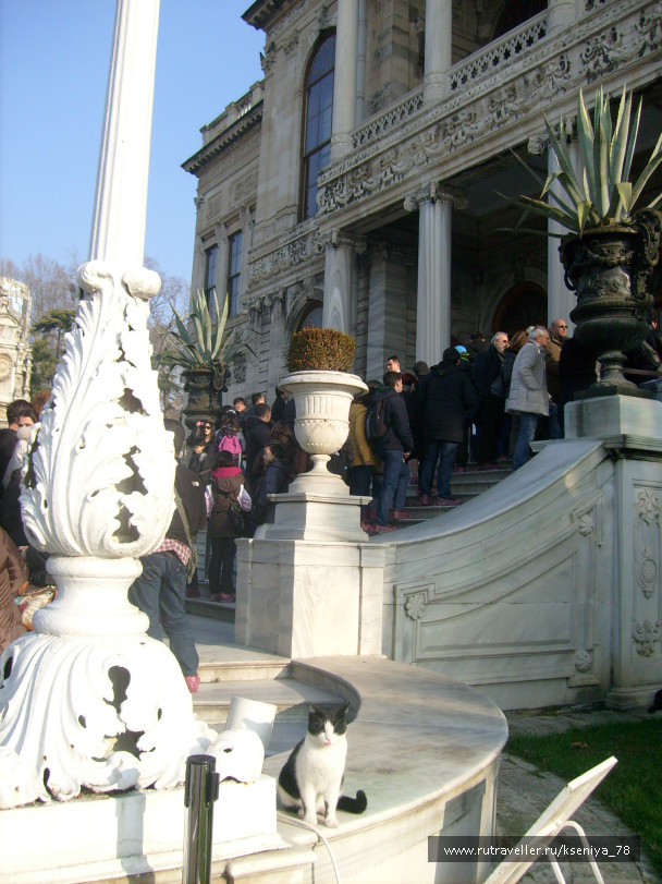 photo 224778