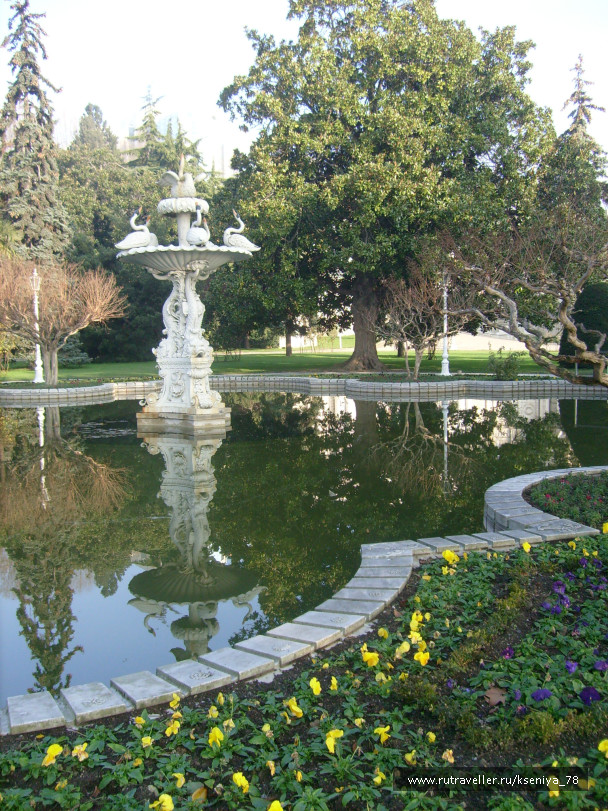photo 224779