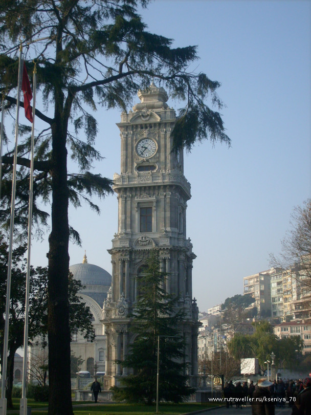 photo 224780