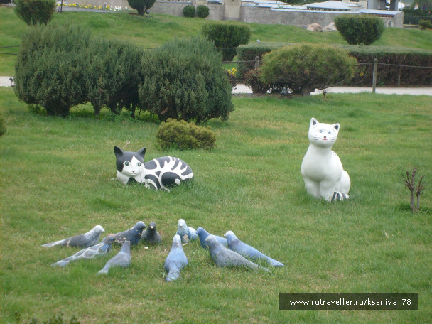 photo 224787