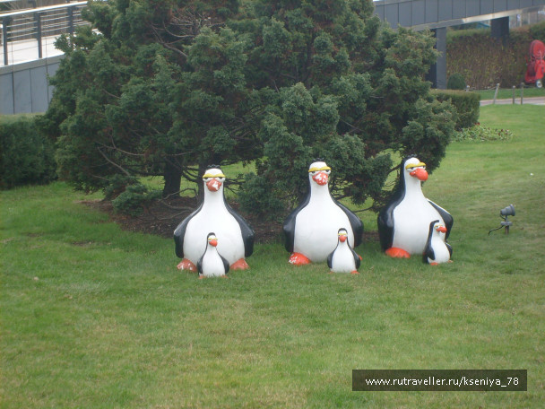photo 224793