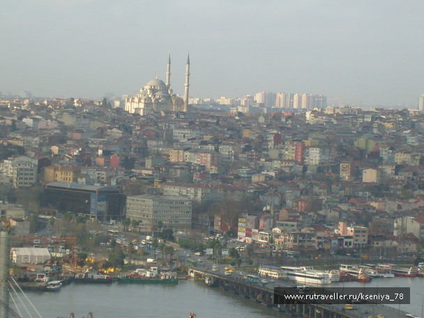photo 224798