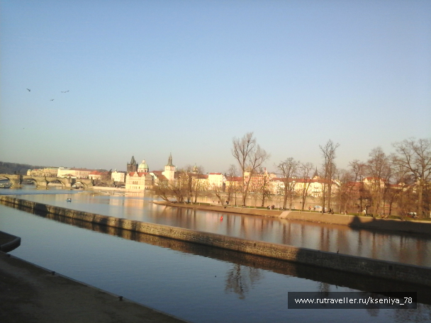 photo 687645