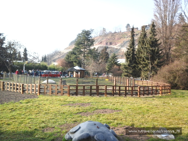 photo 687656
