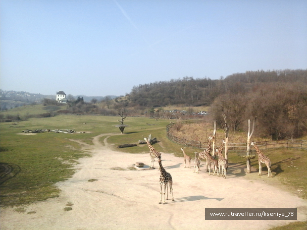 photo 687657