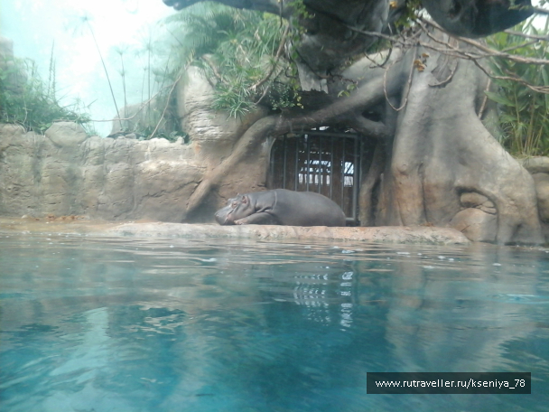 photo 687658