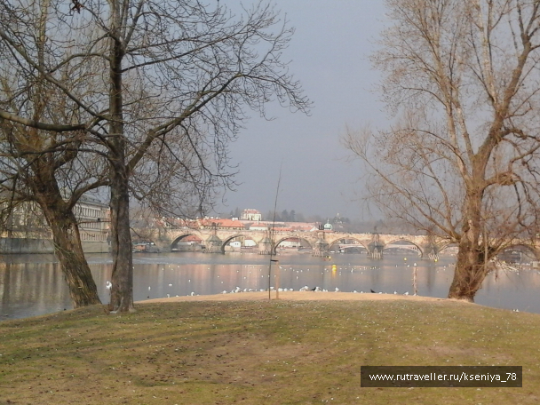 photo 687663