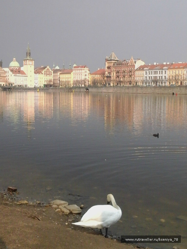 photo 687664