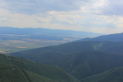 photo 444597