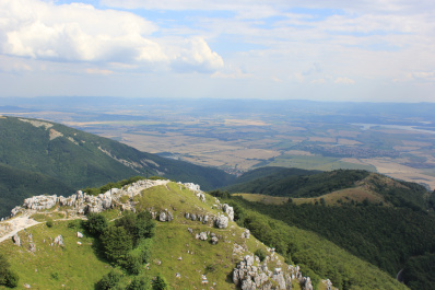 photo 444598