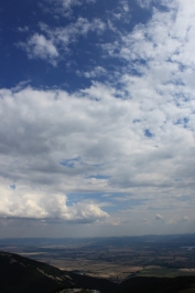photo 444592