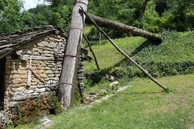 photo 444642