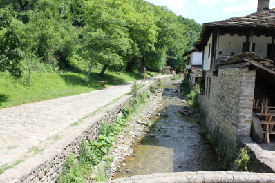 photo 444644