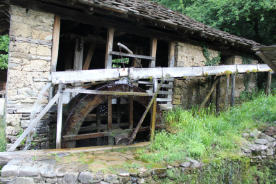 photo 444675