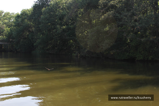 photo 446201