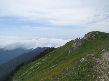 photo 820484