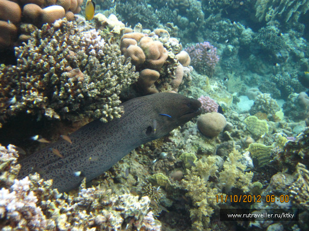 photo 177383