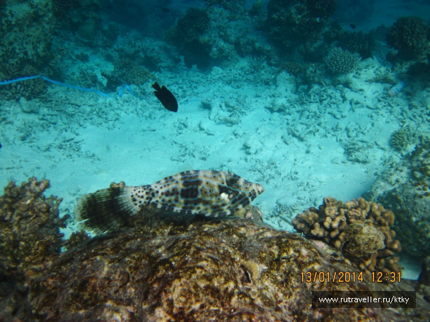 photo 647608