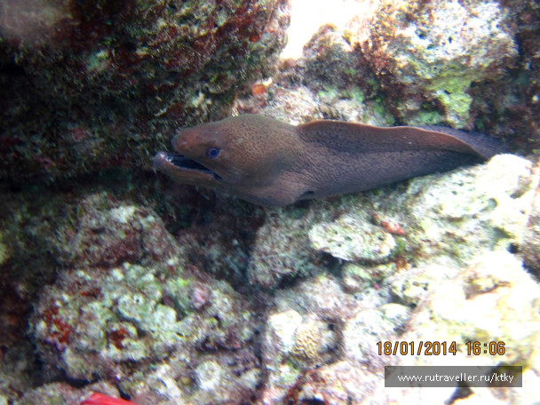 photo 647631