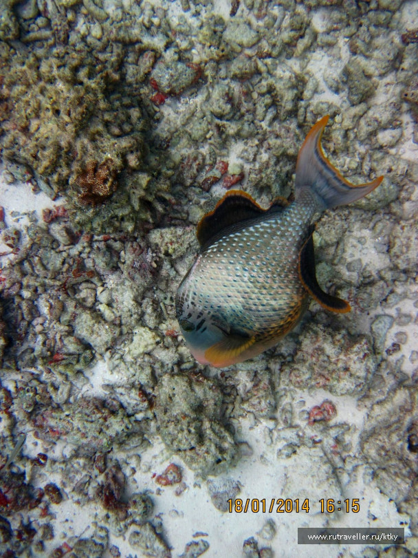 photo 647632