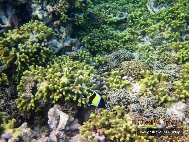 photo 647635