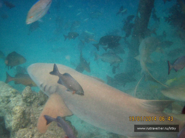 photo 647637
