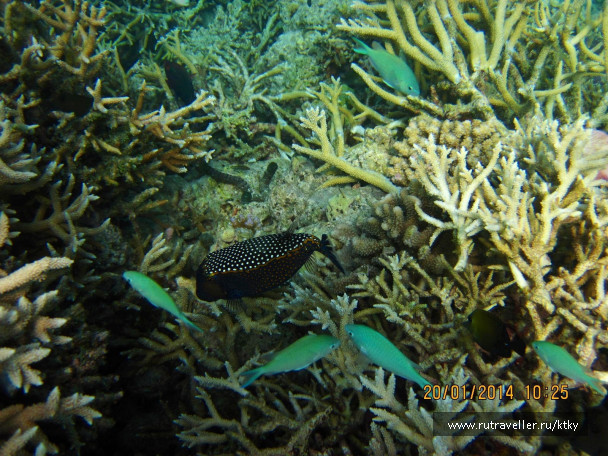 photo 647641