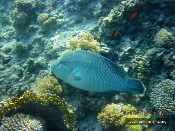 photo 835170