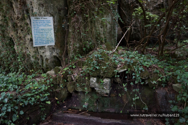 photo 1335672