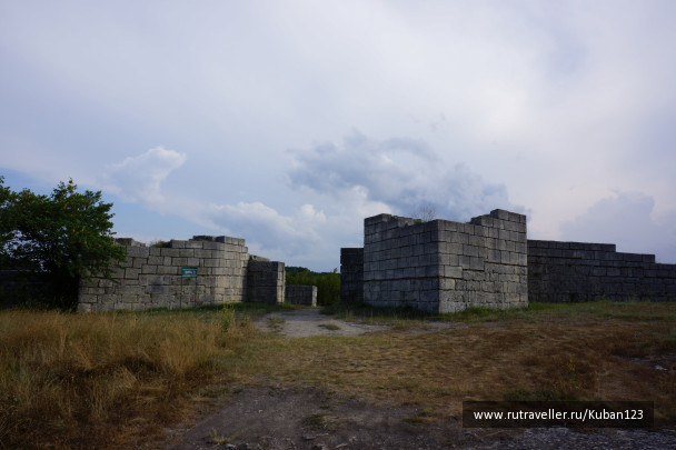 photo 1335682