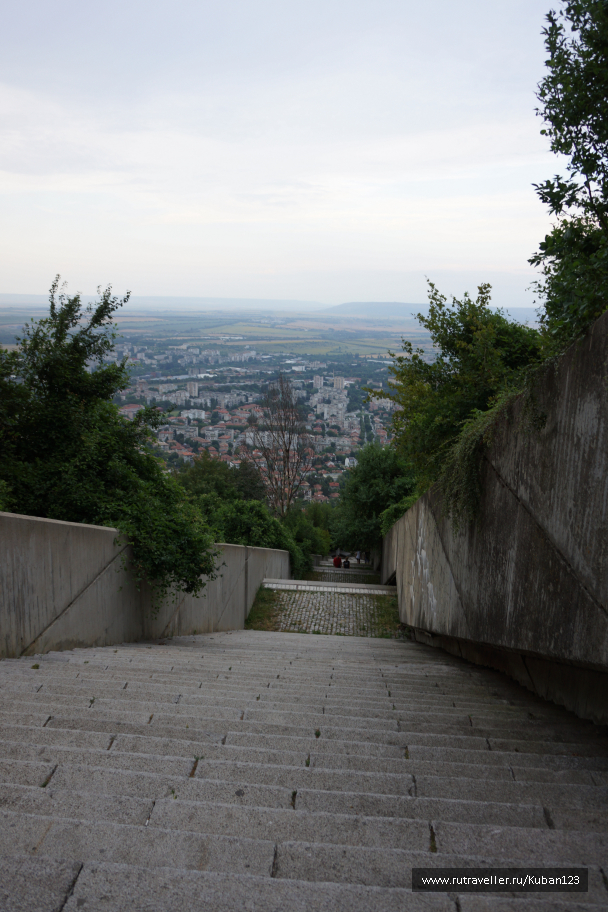photo 1335823