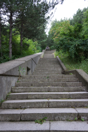 photo 1335830