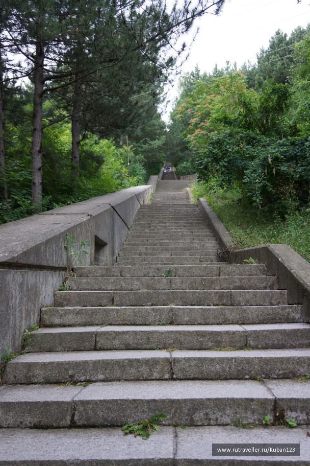 photo 1335830
